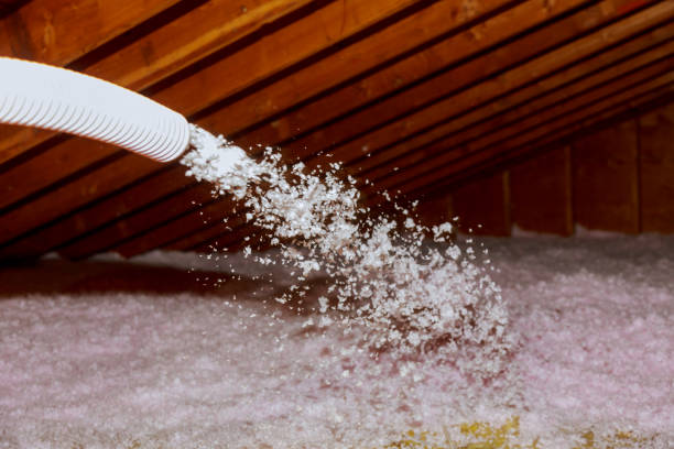 Best Specialty Insulation in Wickenburg, AZ