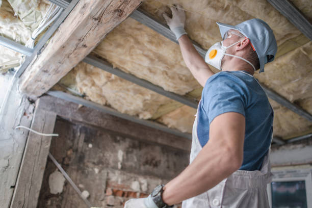 Best Insulation for Specific Applications in Wickenburg, AZ
